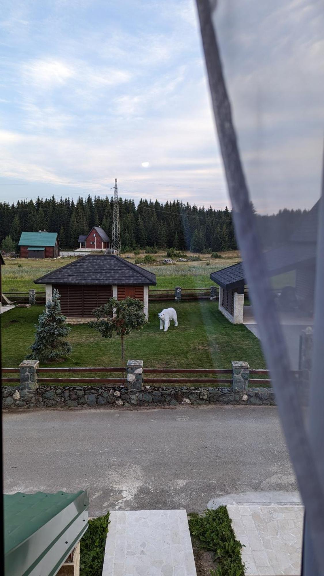 Ferienwohnung Mountain Haven Deluxe Žabljak Exterior foto